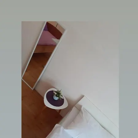 Megi4 *